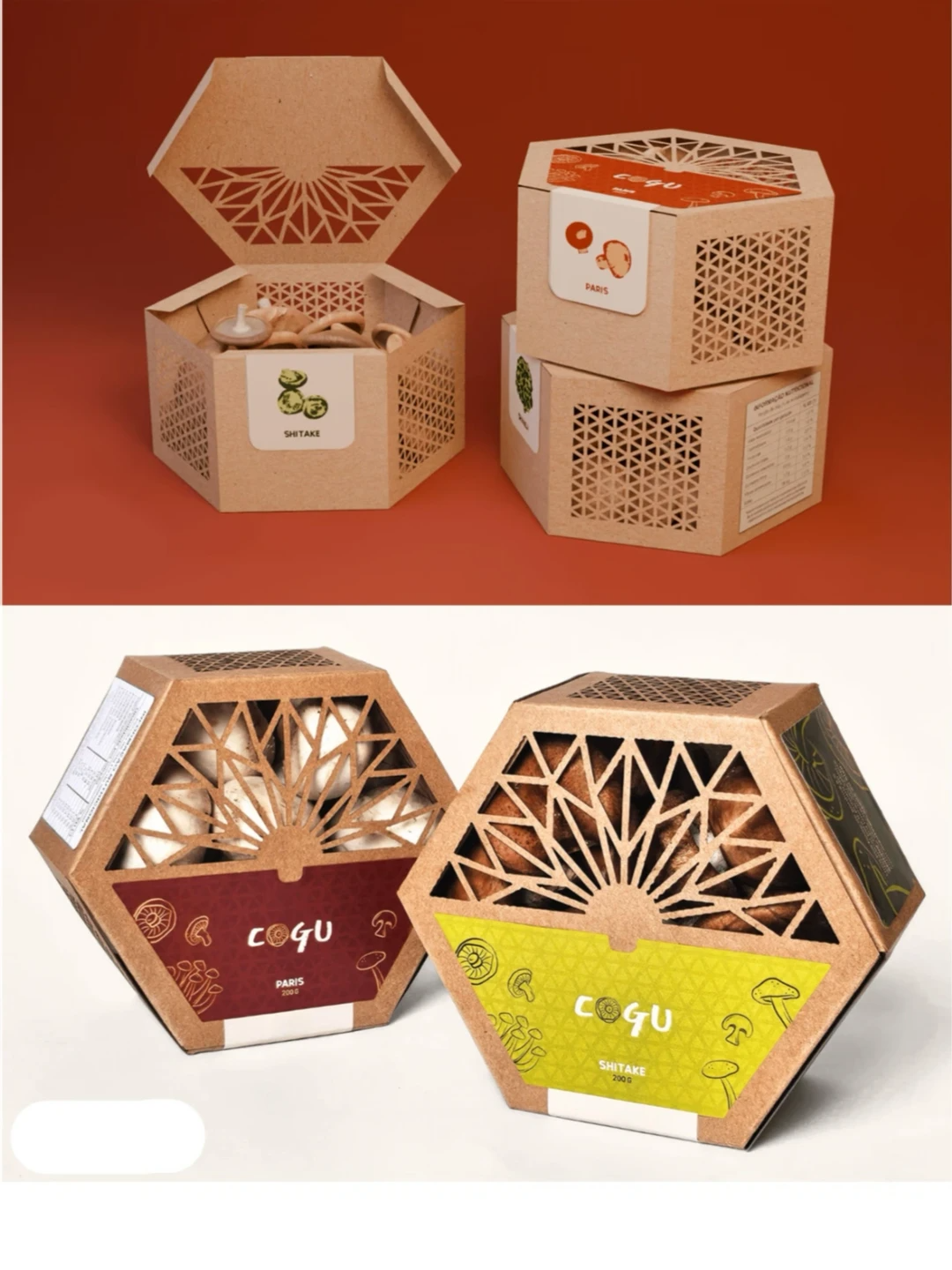 The "Green Ongoing" of Packaging: A Week of Sustainable Packaging Observations